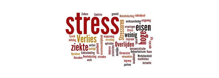 werkstress